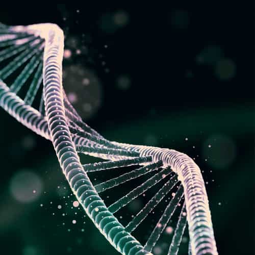 MexStemCells Clinic kooperiert mit PlacidWay Medical Tourism, um den weltweiten Zugang zur regenerativen Medizin zu erweitern